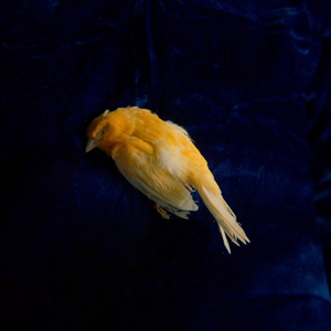 落榜生公共便利器七条
